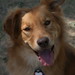 Harry Foster Photo 13
