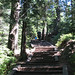 Kim Reuter Photo 24