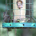 Debra Call Photo 16