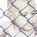 Antonio Clements Photo 8