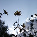 Scott Matheson Photo 30