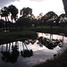 Sara Boles Photo 16