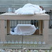 Melissa Corcoran Photo 16
