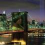 Tanisha Jackson Photo 11