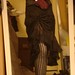 Cary Gray Photo 31