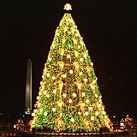 Cindy Qualls Photo 12