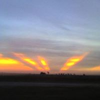 Susan Guidry Photo 38