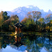 Stefan Carp Photo 9