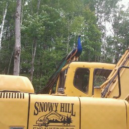 Randy Snow Photo 33