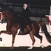 Annette Duke Photo 8