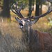 Heather Withers Photo 20