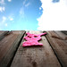 Paul Linse Photo 7