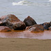 Eric Vance Photo 11