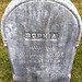 Carey Craig Photo 12