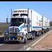 Alice Gilbert Photo 7