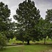 Judy Lowe Photo 36