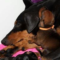 Jennifer Kraemer Photo 28