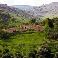 Naser Mohammad Photo 18