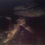 Patricia Farley Photo 10