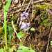 April Silver Photo 9