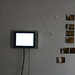 Elaine Reynolds Photo 19