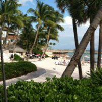 Betty Herold Photo 8