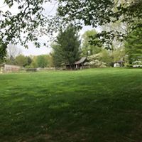 Lynn Graham Photo 33
