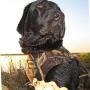 Jason Cardwell Photo 24