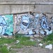 Rosa Basile Photo 17