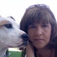 Tracy Doyle Photo 9