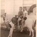 Sandy Gregg Photo 17