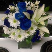 Michele Hibbs Photo 4