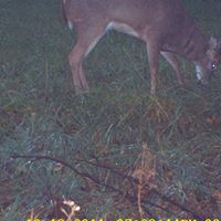 Glen Barnett Photo 16