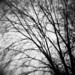 Diana Rich Photo 33