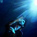 Gary Fortune Photo 23