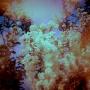 Sarah Gross Photo 24