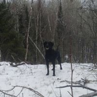 Allen Mann Photo 9
