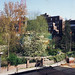Stacey Ables Photo 12