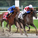 Dale Garcia Photo 36