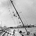 Allen Mast Photo 3