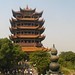 Tin Hoang Photo 15