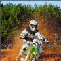 Brandon Harvey Photo 29
