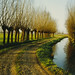 Arthur Young Photo 12