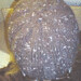 Elizabeth Heckman Photo 10