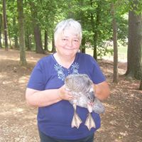 Mary Flynn Photo 22