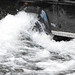 Lloyd Tarr Photo 11