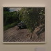 Jennifer Nebel Photo 20