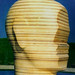 Hsin Lin Photo 36