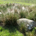 Glen Sims Photo 12