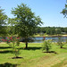 Ann Cross Photo 27